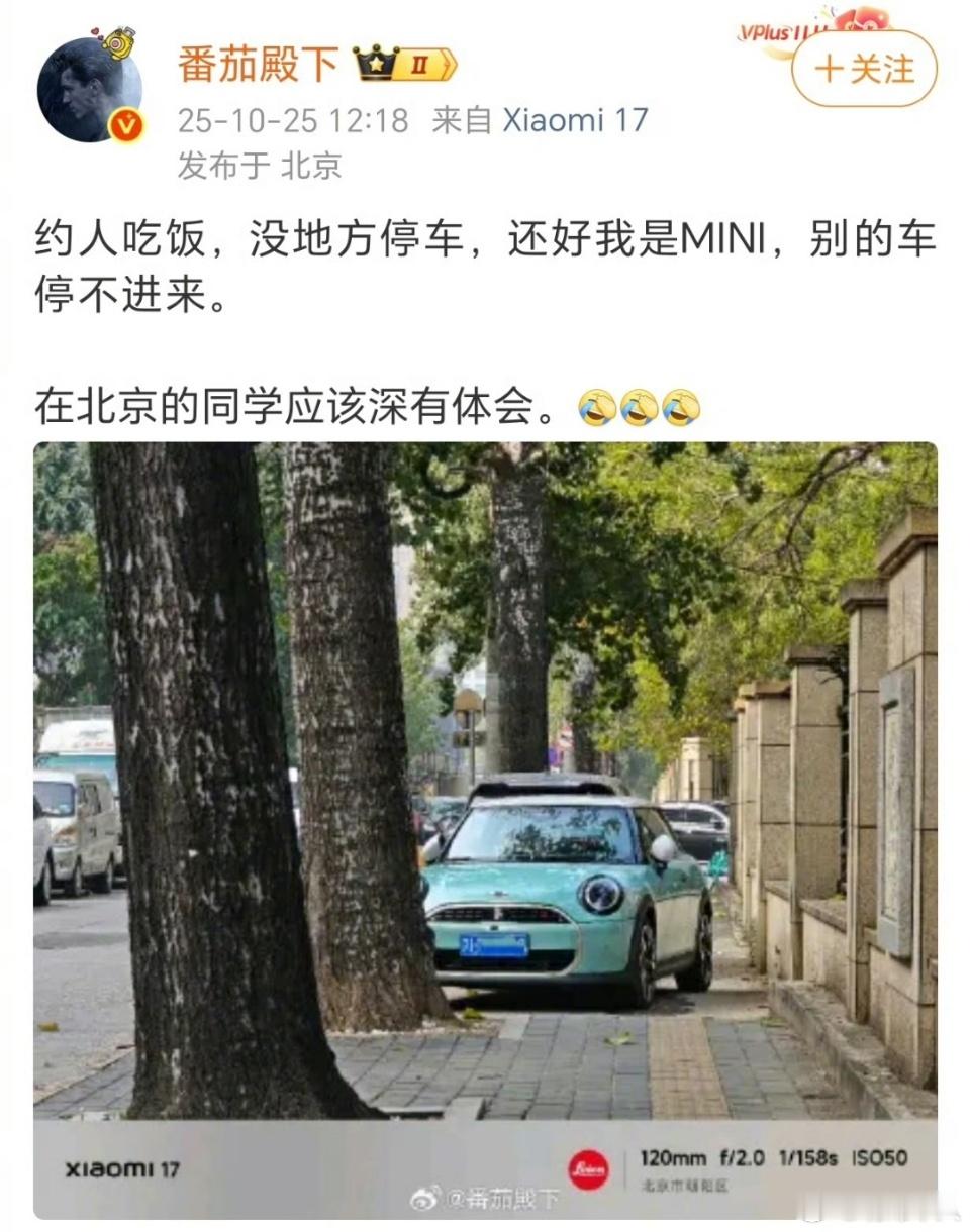 不懂就问，番茄殿下是哪的人？​​​