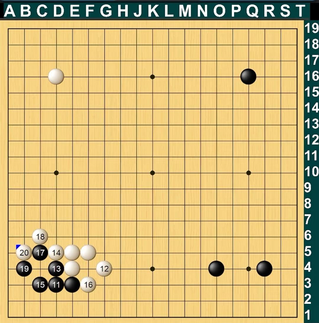 德比之战运筹帷幄金花对决高歌猛进2026年第31届三星杯世界围棋大师赛
