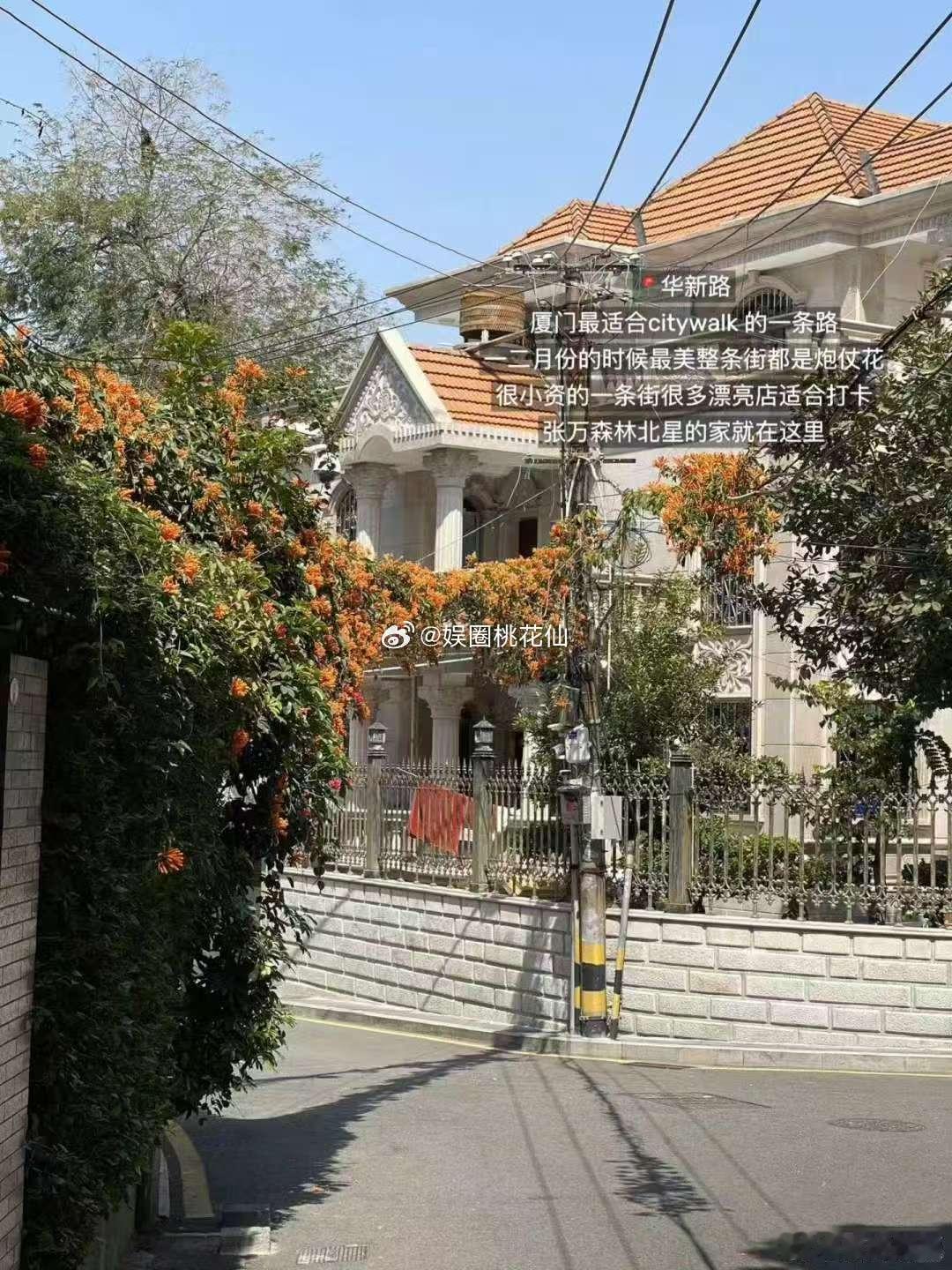 厦门超高含金量的打卡点鼓浪屿的老别墅藏着百年故事，红砖墙爬满三角梅，转角就是钢