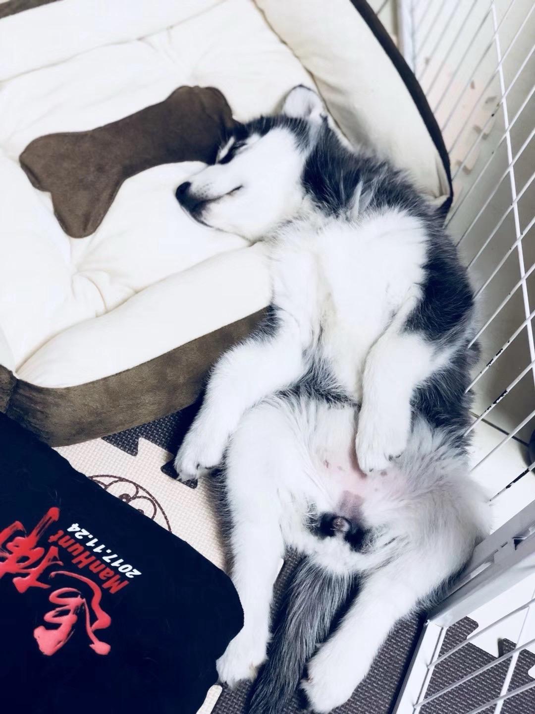 从小睡到大的姿势
