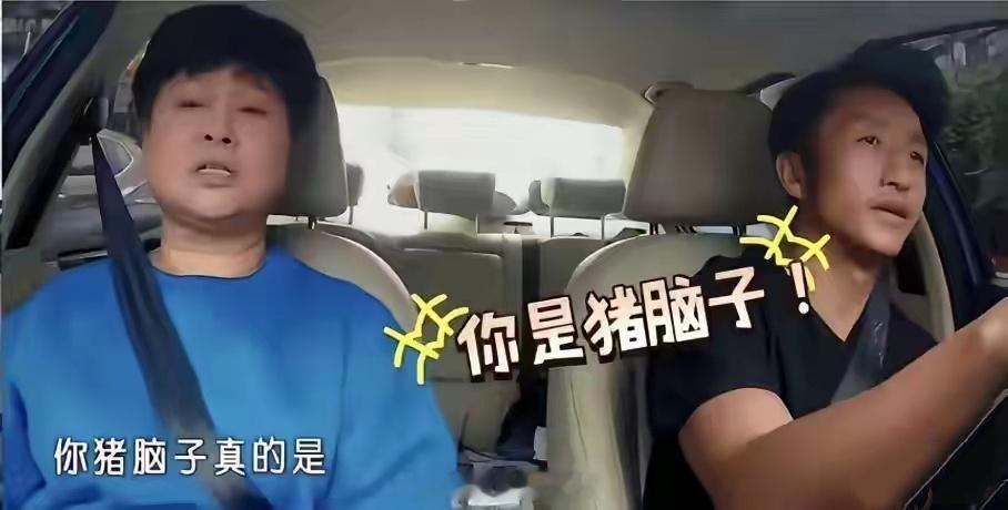 邹市明开车带岳母出门，由于方向打得太急，被岳母当面骂“你是猪脑子？”，邹市明大气
