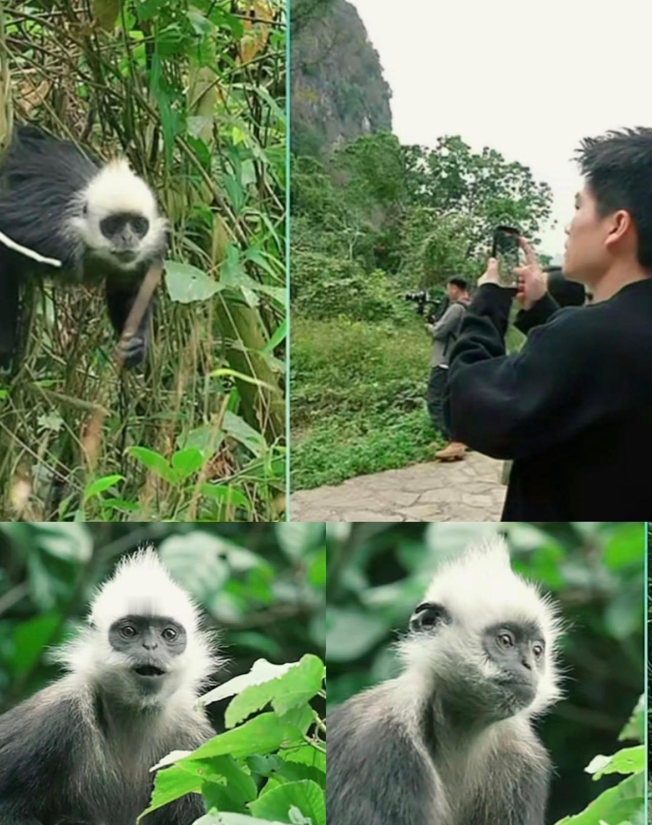 董宇辉就是互联网上的“唐僧肉”，蹭一蹭流量翻倍，咬一口发家致富。看看最近那