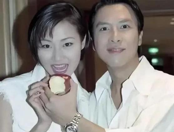 1994年，梁静慈和甄子丹离婚没多久，就发现自己怀孕了，为了她想复婚，可甄子丹说
