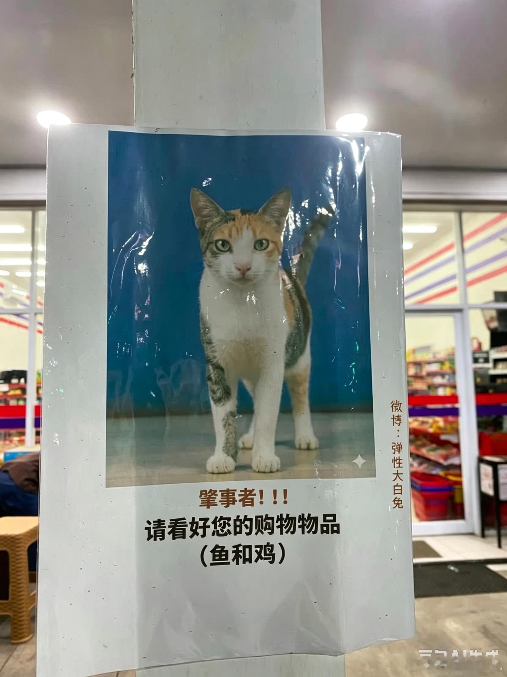 太可怜啦，兄弟它都不知道自己是通缉犯哈哈​​​