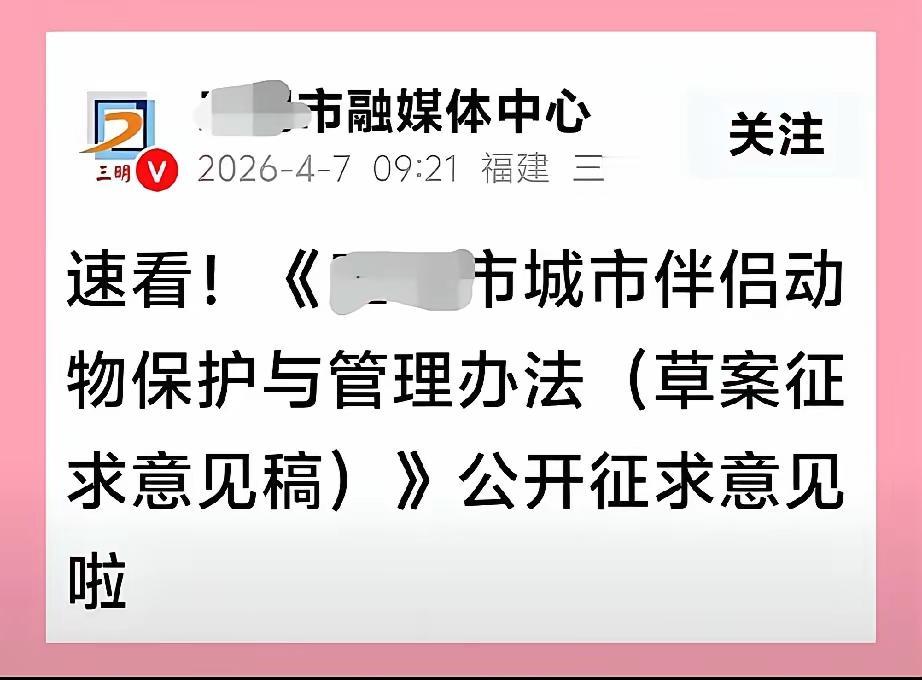 伴侣动物，这个词用的好，就是可以同床共枕的宠物。
