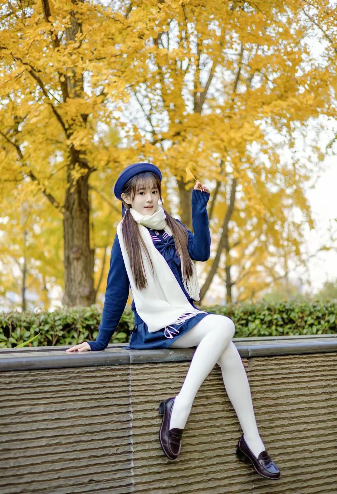 秋日校园少女，蓝白相间，落叶飘零白丝