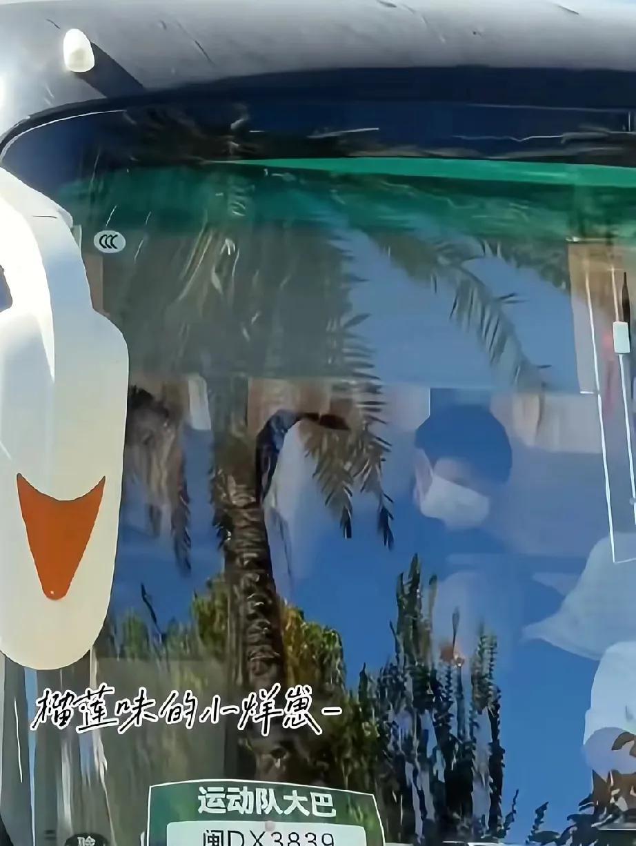 7.25两小只都上训了一大早两小只都乘坐大巴车，来到比赛场地进行训练，莎莎