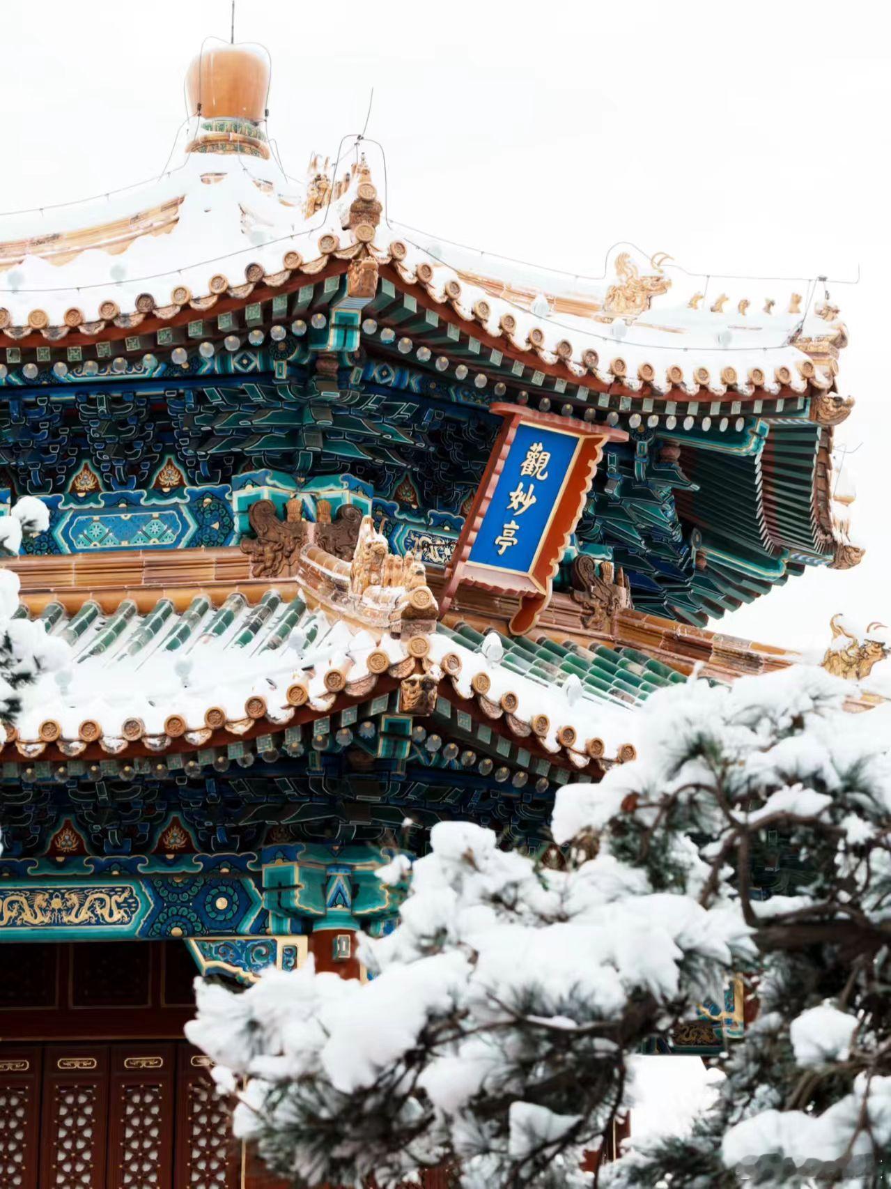 北京下雪了一夜入冬，感觉今年北京的雪来得略早，很快就可以看到各种故宫雪景美照了！