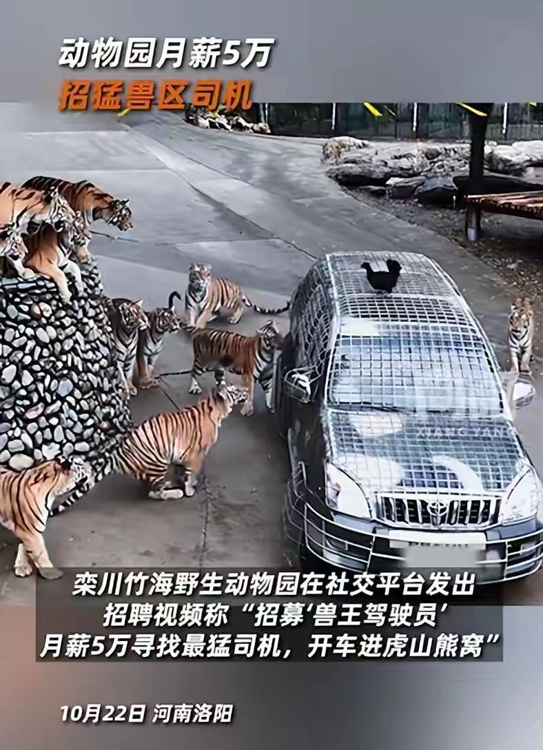 5万月薪招