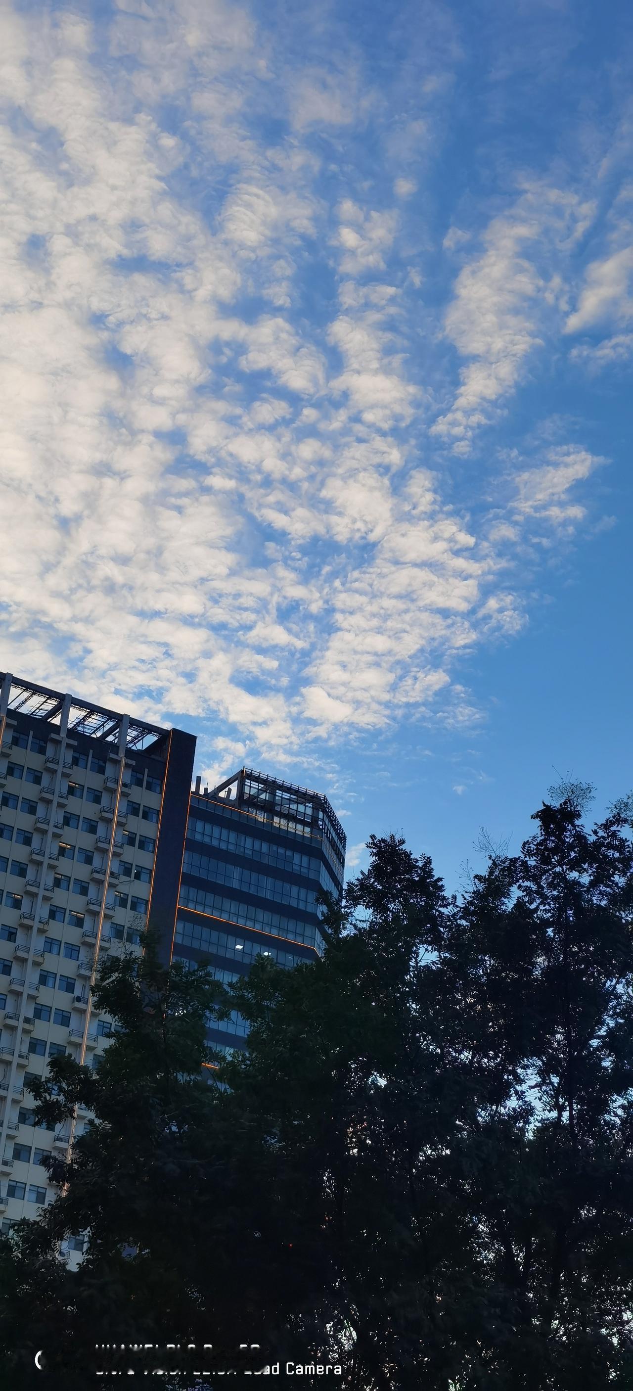 邻居的女儿毕业于香港的一所大学，今年刚刚毕业。虽然是邻居，也只是见面相互知道是邻