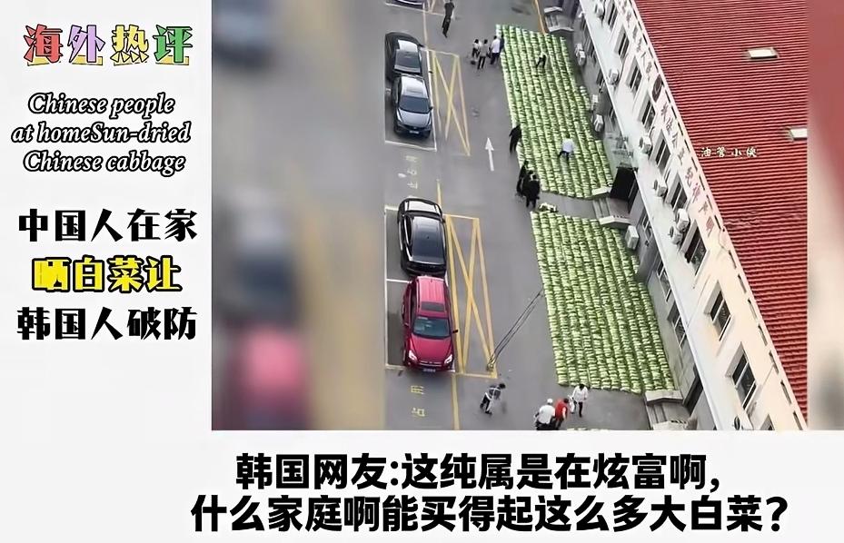 韩国人眼红病又犯了！这次不为别的，只是让他们看到了不该看到的——“大白菜”。