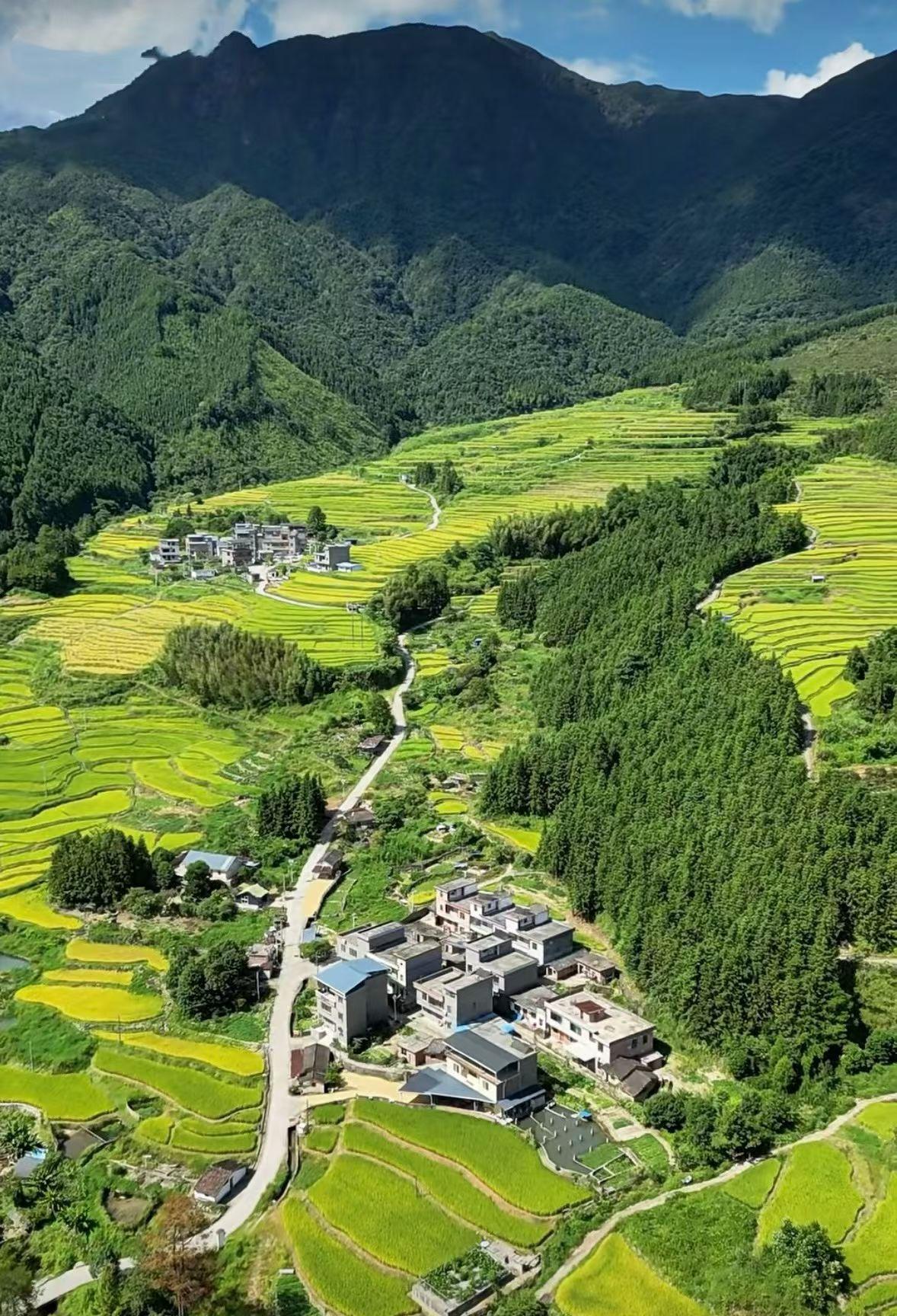 亲家母说，中秋一起去她家。我说叫孩子们陪你过节，你平时忙的看不到他们，