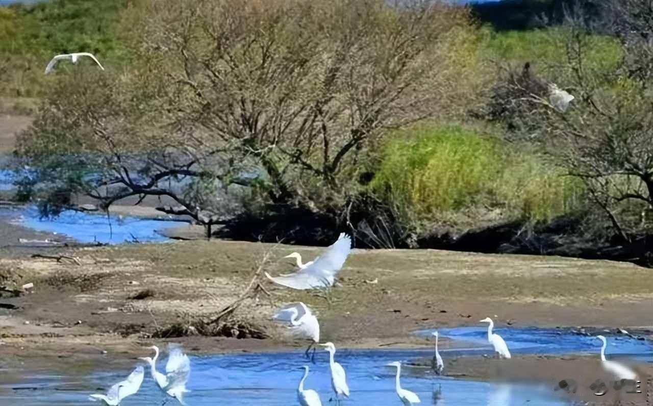 鹤岗房价跌到白菜价，外地人扎堆买房，结果冬天冻得睡不着觉2019年春天，浙江