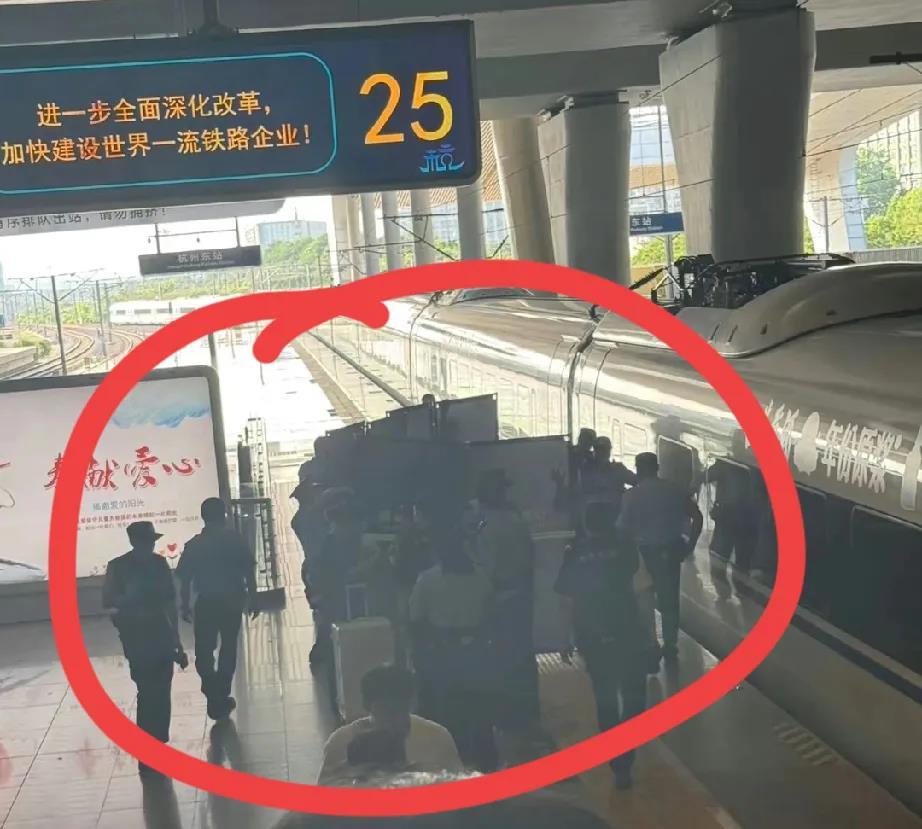 这一幕让人太揪心了成年人都不容易啊！杭州东站一旅客在列车即将停靠时卧轨，这件