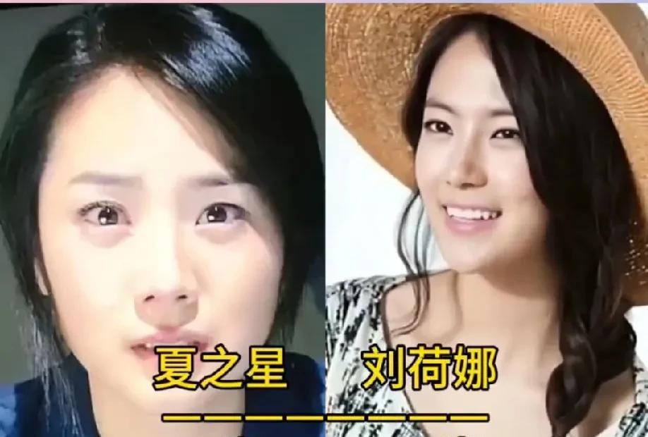 《放养的星星》演员今昔变化！小时候最爱看的剧，那时候很迷恋林志颖！