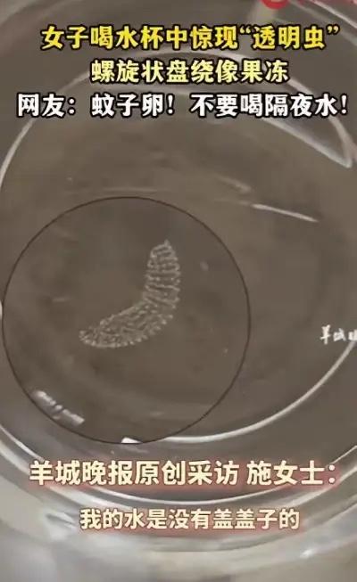 云南，一女子起床前喝了半杯隔夜水后，意外发现杯子里有一排透明状的“果冻”，一开始