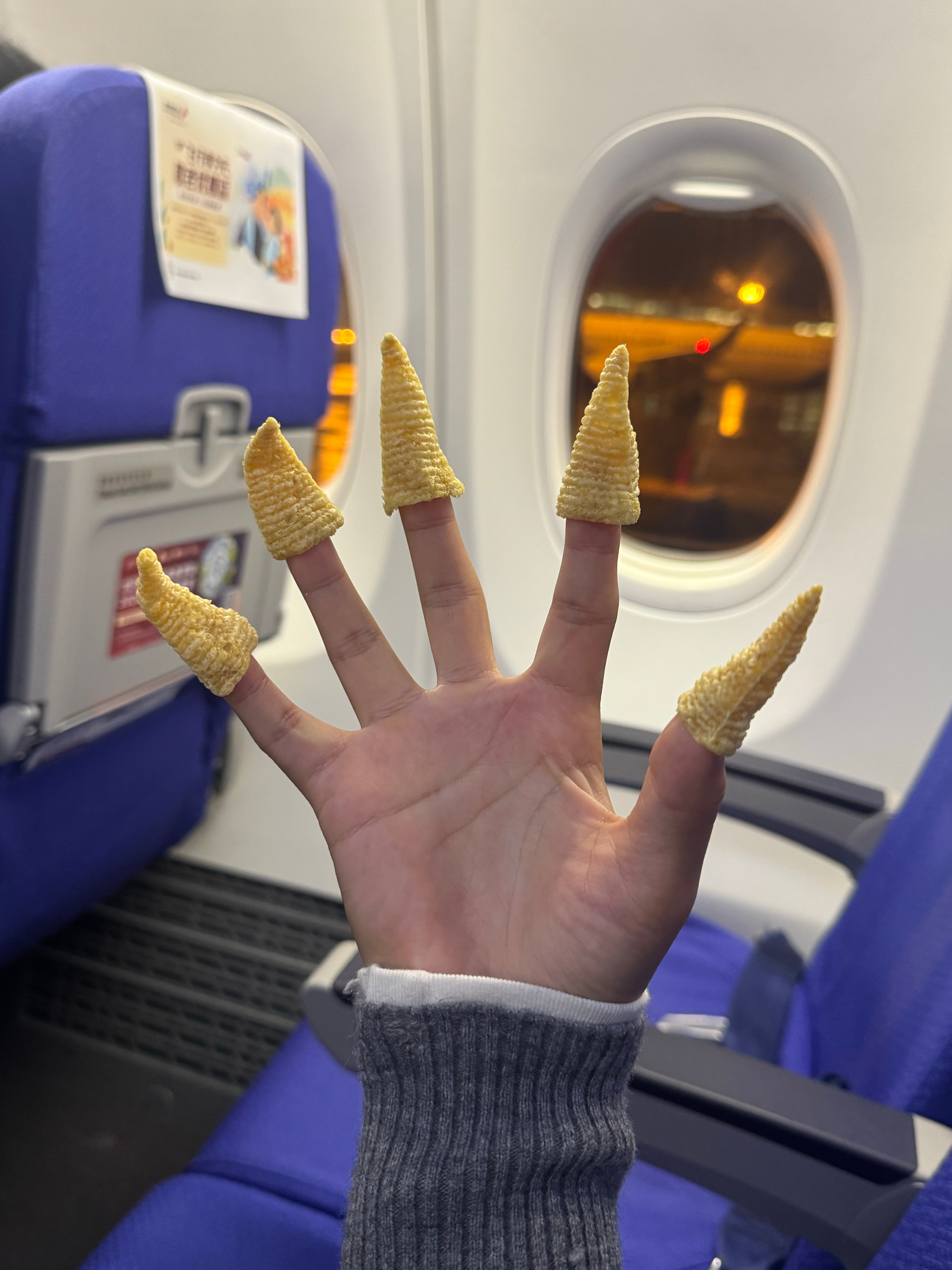 沈阳，再见啦，在东北待的很快乐！(✌️≖‿≖)出发深圳参加鸿蒙车主晚宴，有没有人