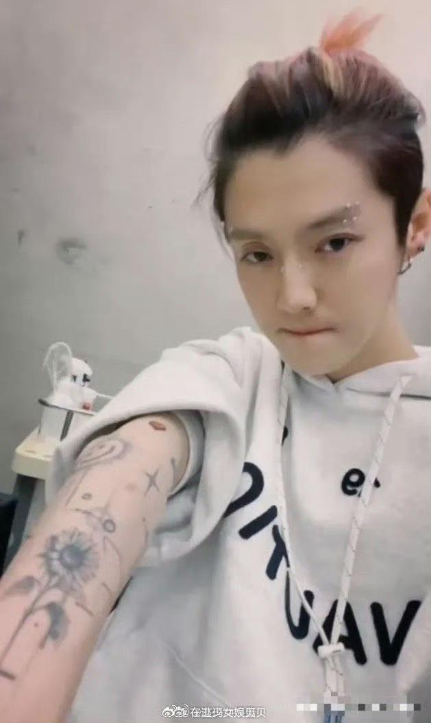 突然意识到…鹿晗其实抽烟、喝酒、早恋、烫头、纹身、打耳洞一件都没落下，但是因为