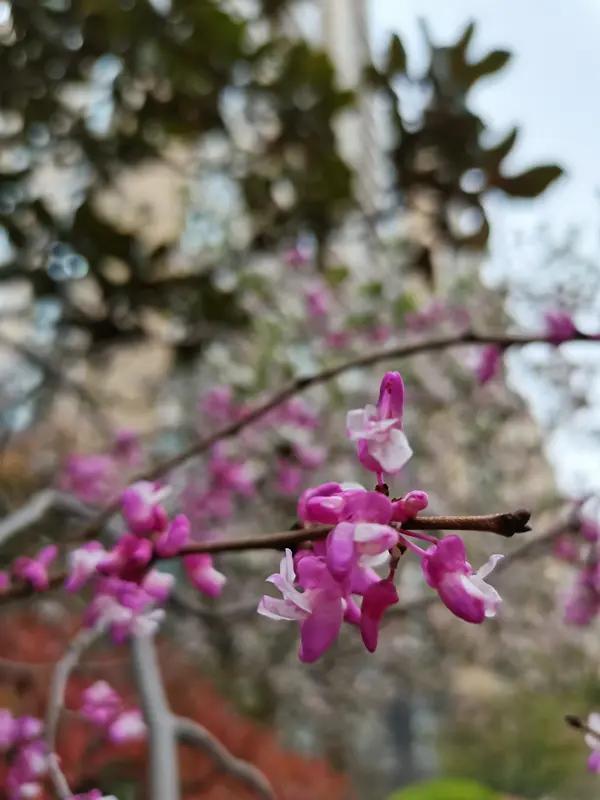 怎么成为一个沉稳的人?首先思想境界的高度要高，在短时间内能看清人，事，物之间的