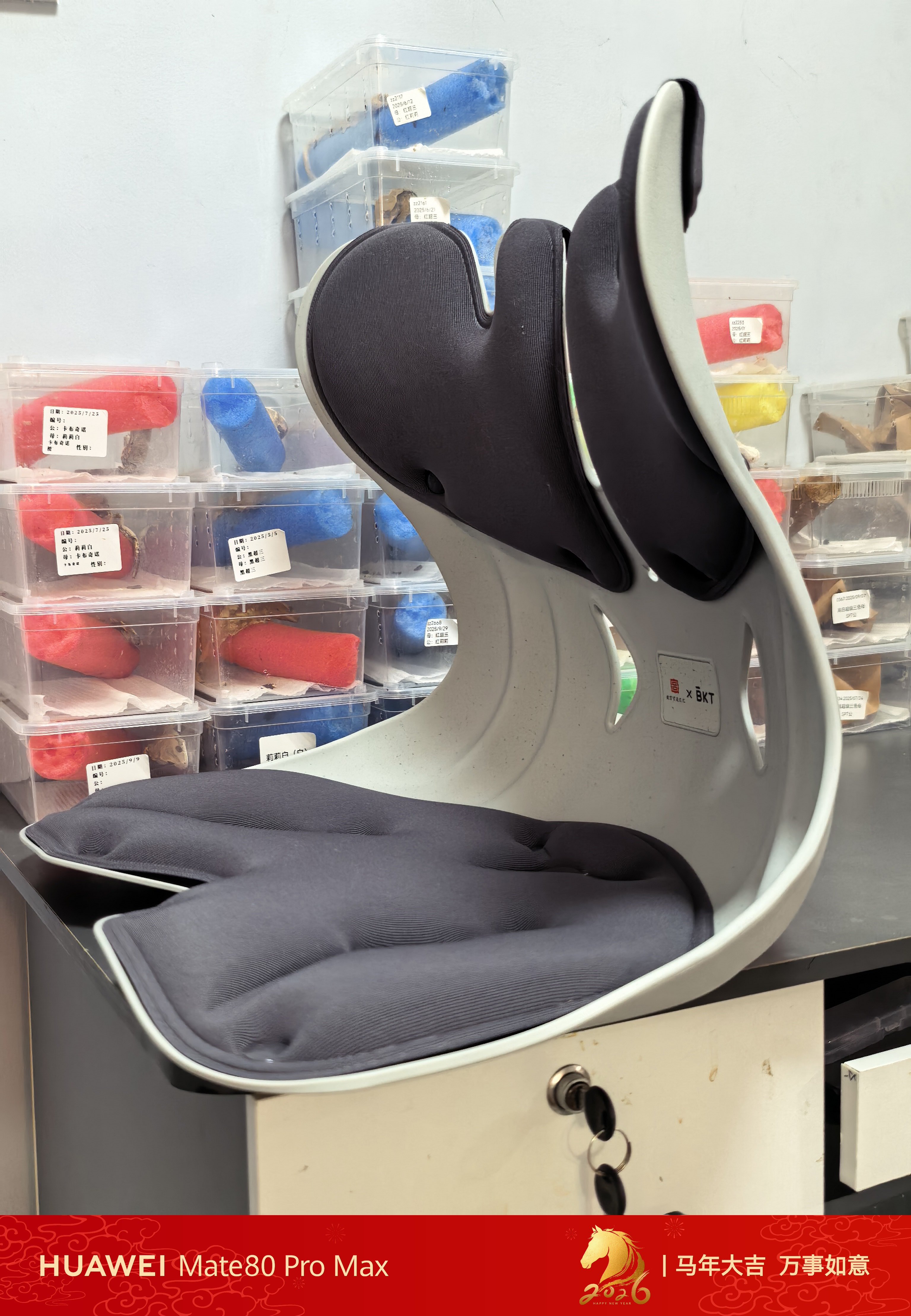 我的情人节礼物到了腰不好，有了这个就可以多坐会看小宠物看