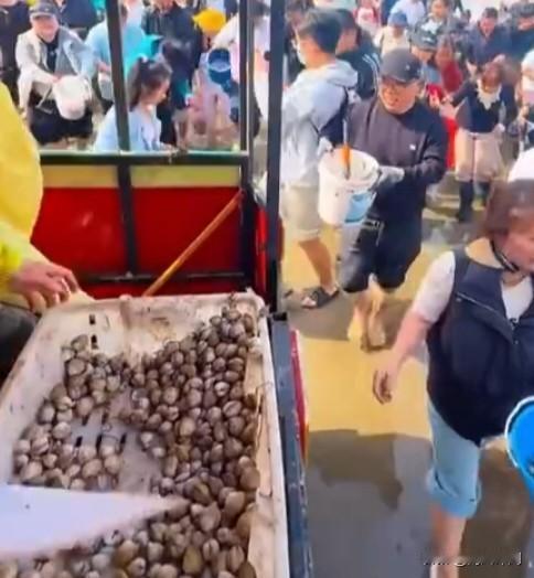 太实在了！景区直接撒1万斤蛤蜊，20块门票挖到就是赚到！五一还在愁去哪儿玩