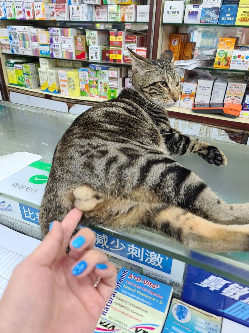 我知道这样做不太好，可我就是没忍住...