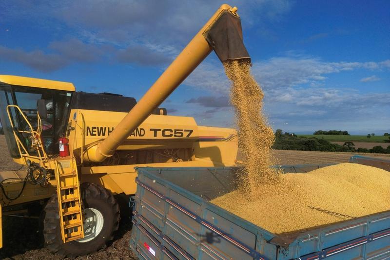 特朗普这次来啊，本想把大豆都“卖”给中国，现在看来不卖也不行了。此前巴西大豆还想