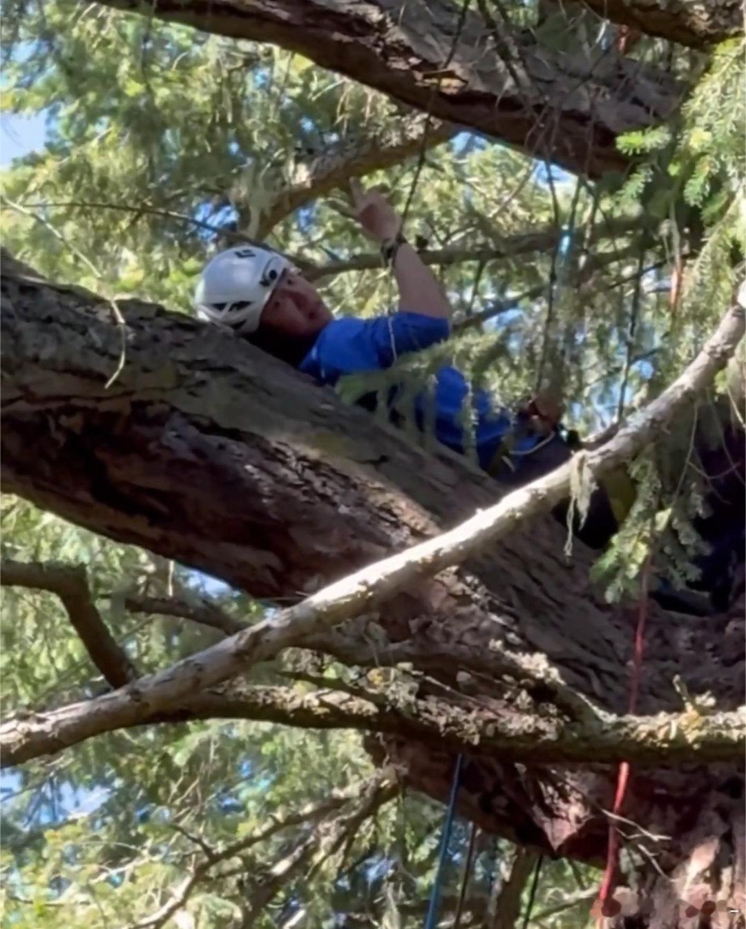 卧槽王一博在树上躺着比耶啊啊啊啊啊啊松弛感拉满