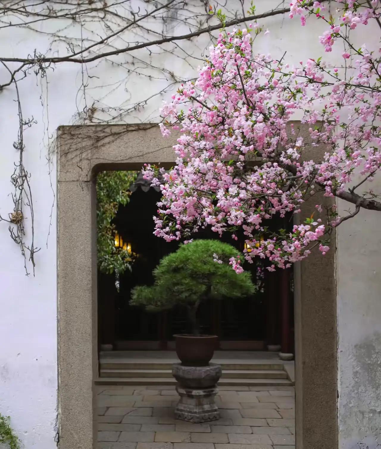 全世界的穷人都把碳水当主食，全世界的有钱人都把蛋白质当主食，这就像牛羊吃草，虎狼