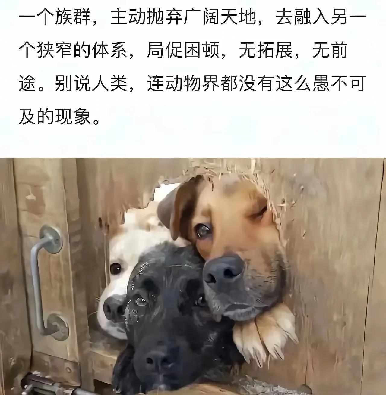你必须承认有些事情是常人真的无法理解。无论动物还是植物都是
