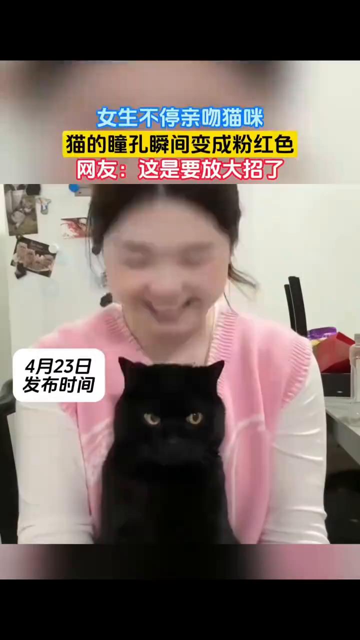女生不停亲吻猫咪，猫的瞳孔瞬间变成粉红色。网友：这是要放大招了。4月23日，