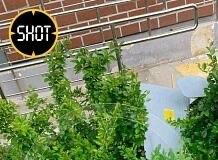 俄乌战场双线爆燃！乌军32架无人机夜袭莫斯科，泽连斯基亲赴前线收复数地12月