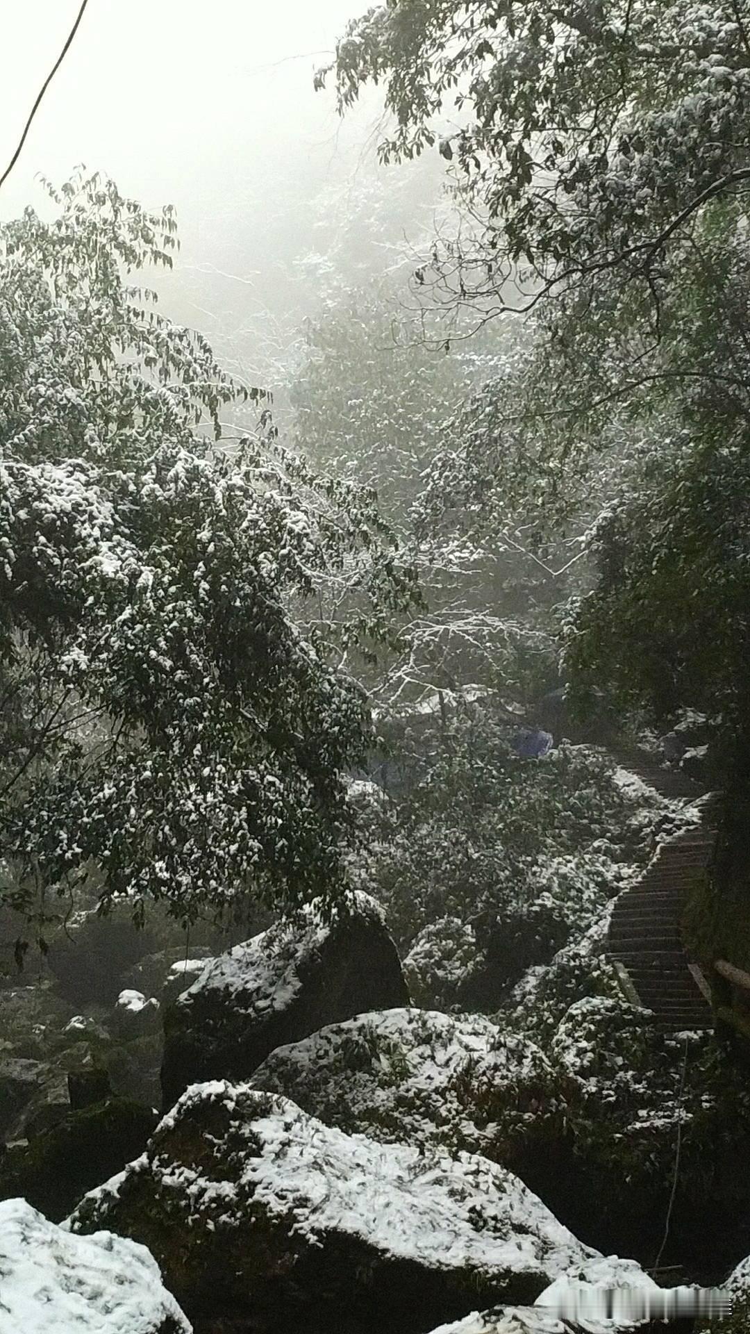 你信不信，下半年起，自媒体彻底入冬！2亿创作者，大半养不活自己我大胆做一个