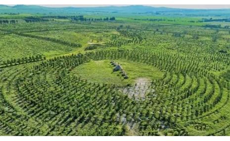 就凭这两张照片，中方就敢告诉白宫：任何战争美国都别想赢！几十年前的老照片里，