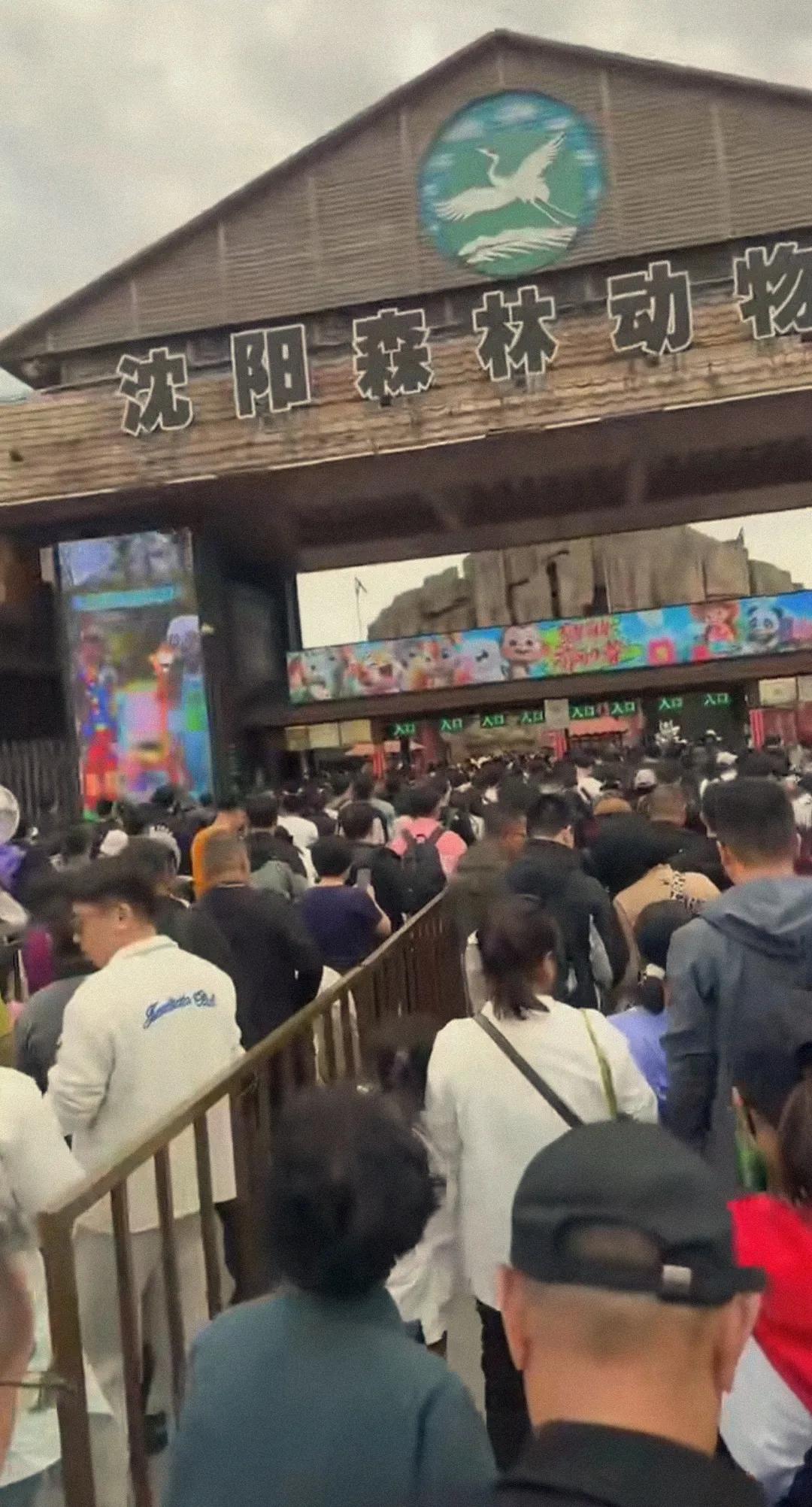 沈阳的旅游发展太好了，哪怕是只有3天假期的端午节也不例外。仔细观察到沈阳的高铁票