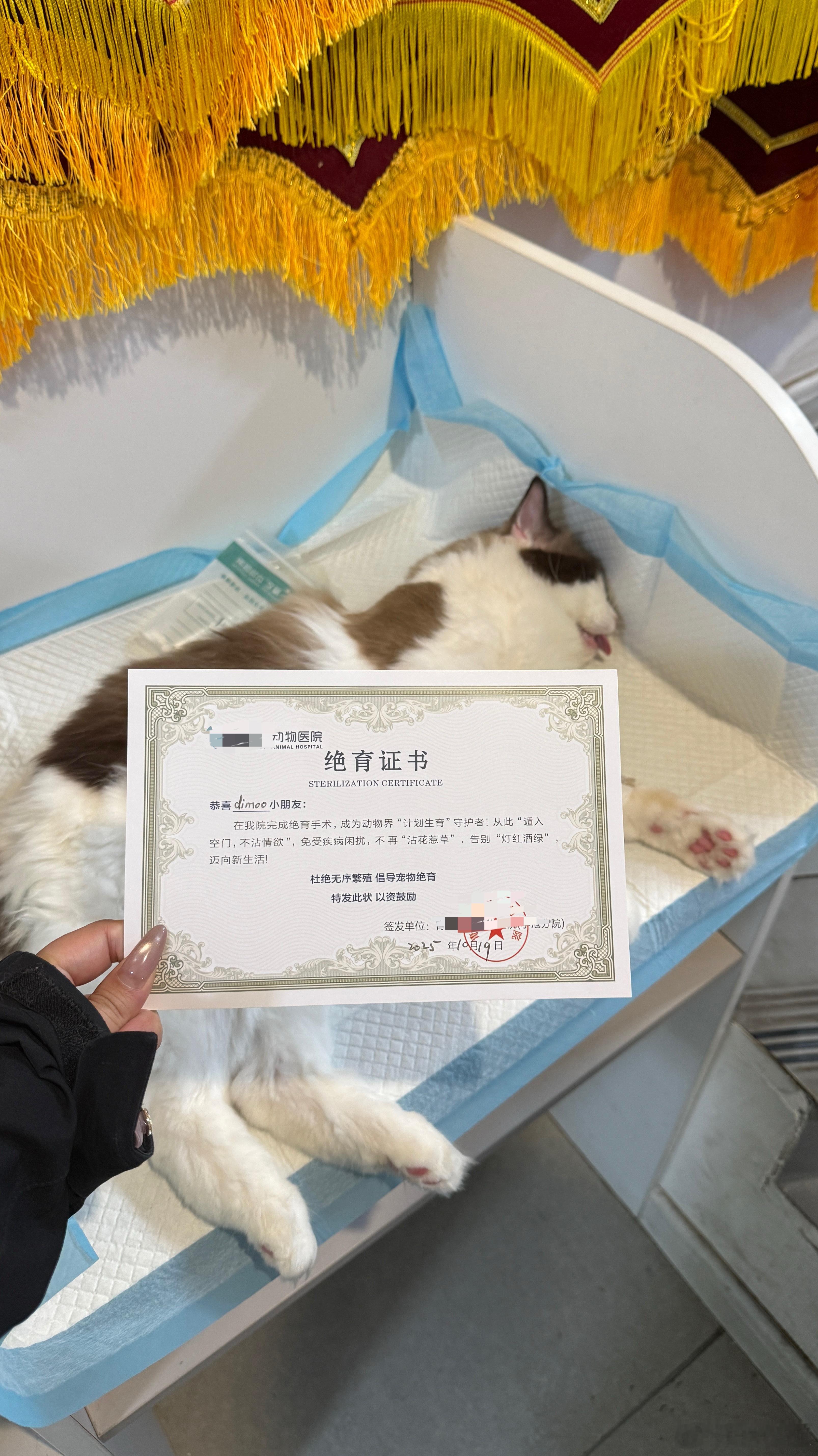 喵生大事完成➕1​​​