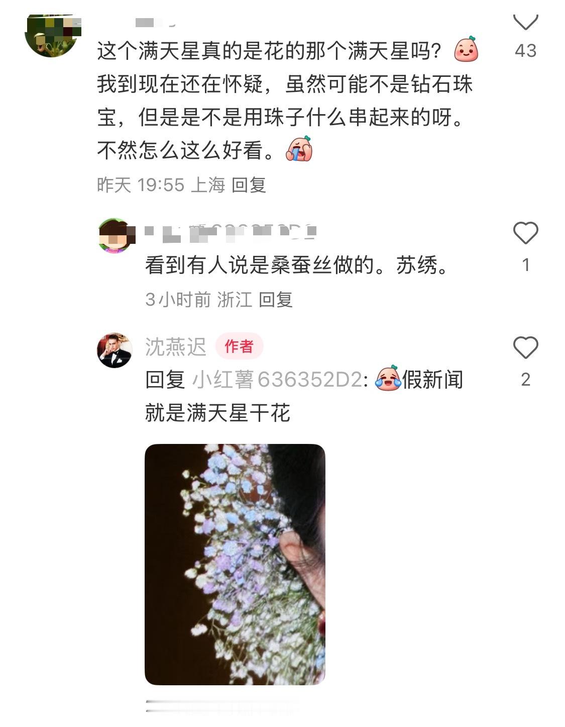 到底哪里传出来的小道消息啊？说桑蚕丝……满天星人生第一次被人质疑不是真的满天星满