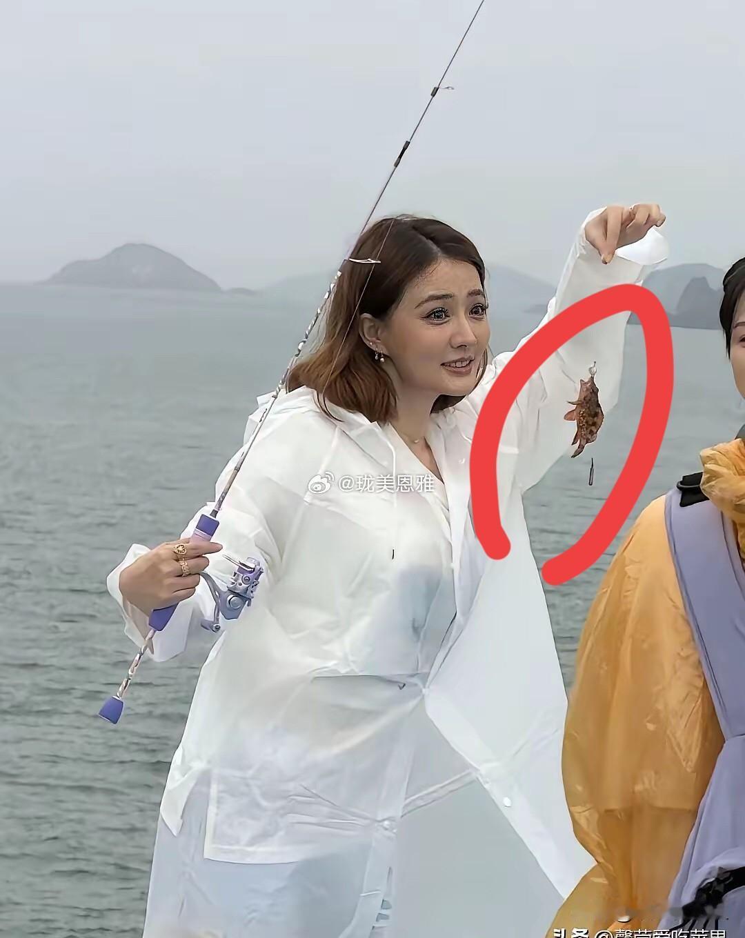 不懂就问，这是石斑鱼吗？