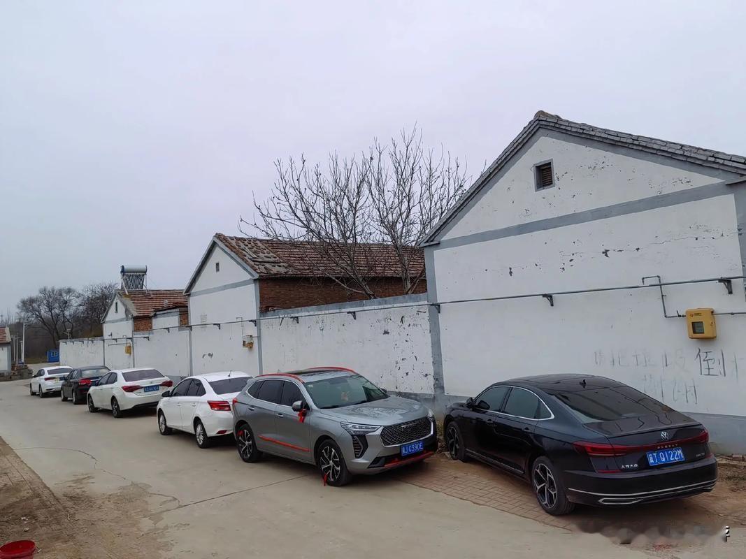 我是山东人，目前在江苏，过年期间感觉两地截然不同，山东过年感觉每个人像打了鸡血，