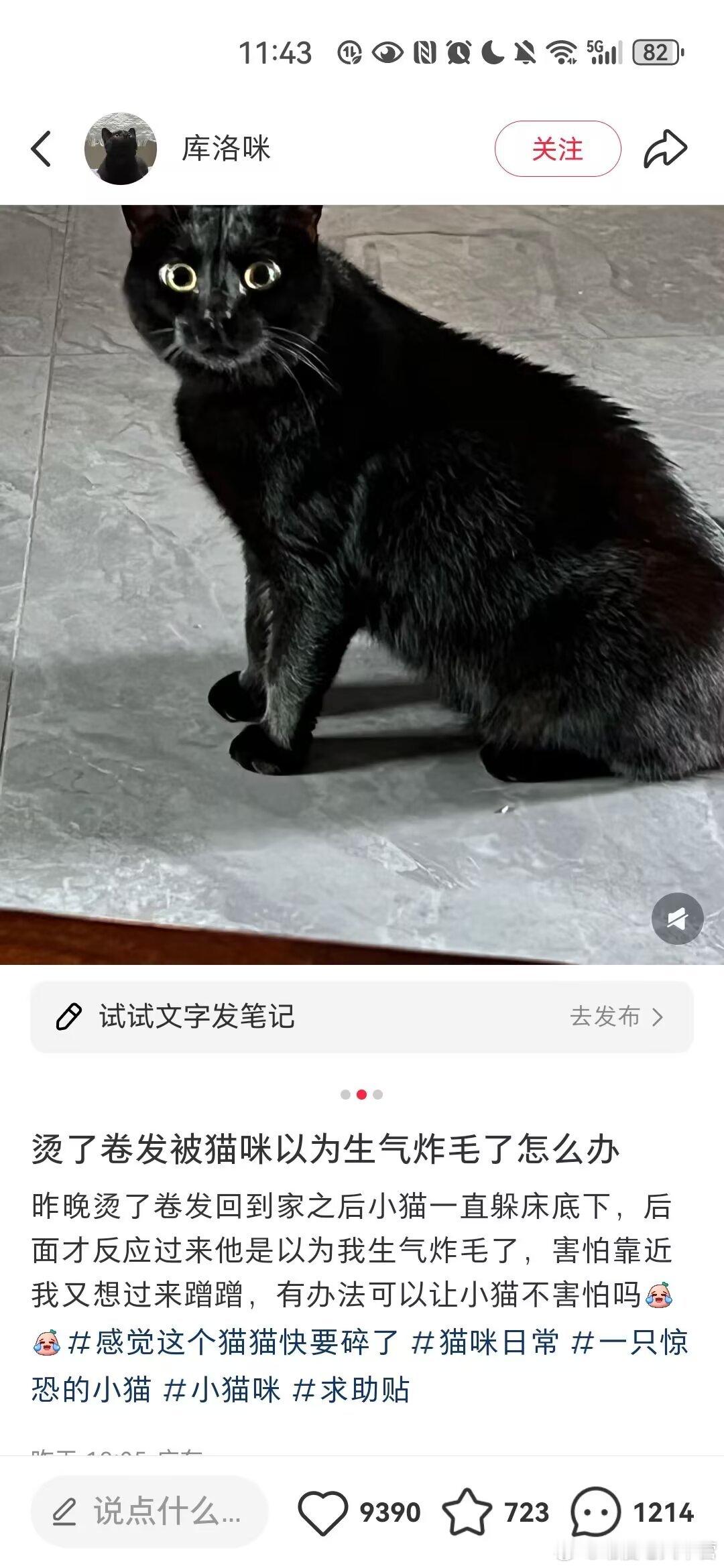 今天看到很可爱的​​​