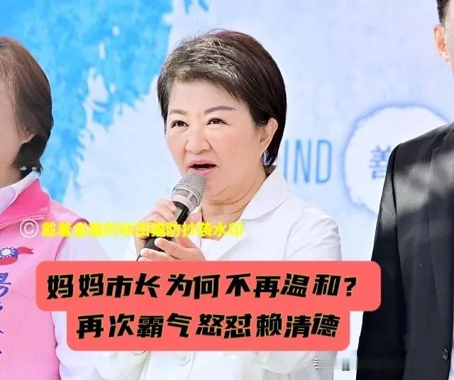 妈妈市长不再温和！20万人凯道吼毒油反遭绿营冷回“快去上班”，卢秀燕火力全开、