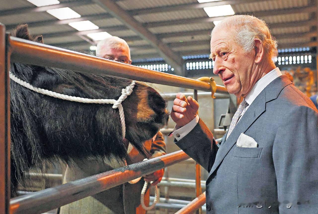 🇬🇧英国国王查尔斯（右）昨天与一位比他平常听众更有智慧的人交谈。顺便提一