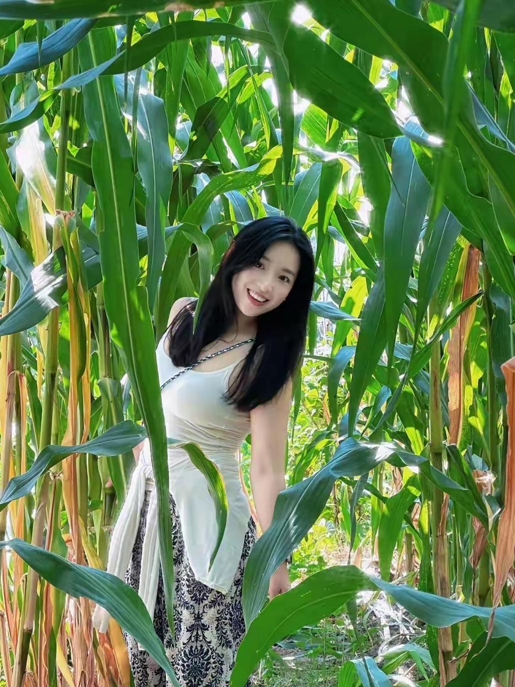 红粱落晚（现代诗）风路过田埂，高粱就红透了半生枯秆挺着笨拙的骨，扎进荒凉