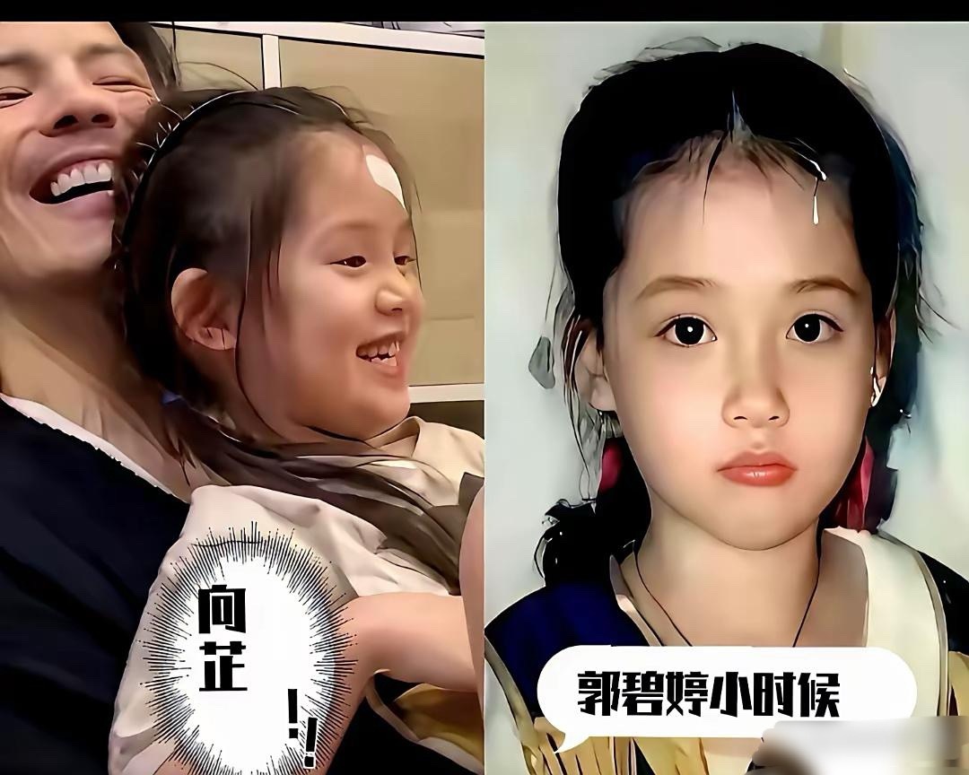一帮人看到向佐女儿的照片，都在扼腕叹息，说这孩子怎么完美避开了妈妈郭碧婷的所有优
