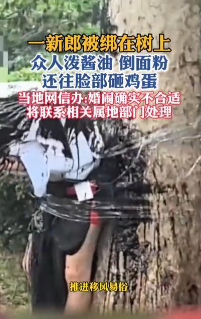 “过分了！”9月22日报道，河南，一男子结婚当天，被宾客绑在树上，众人围成一个圈
