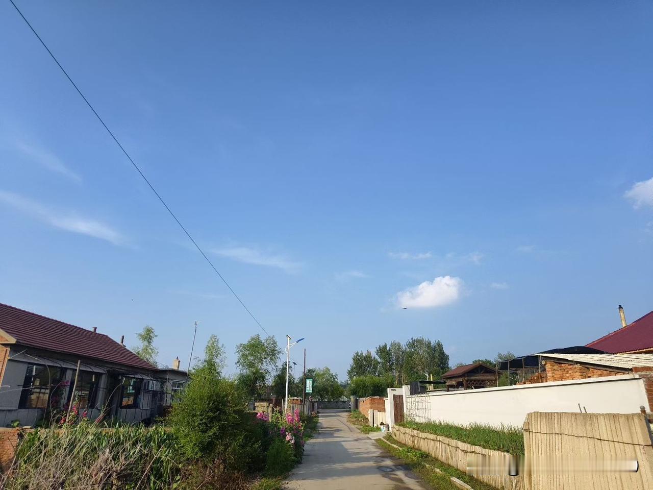 昨天，舅舅打来电话，声音沉得像浸了霜，说舅妈病了，想借五千元做手术。我攥着手机，