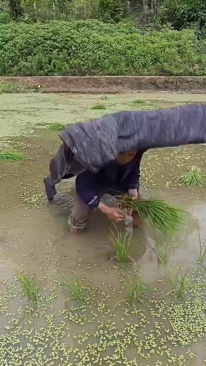 这是高手。