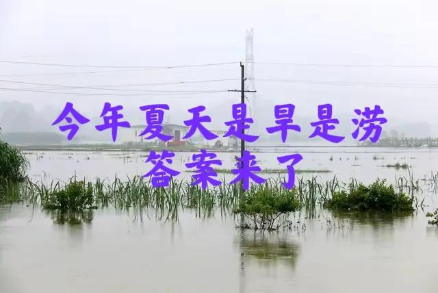 “今年夏天是旱是涝”？答案来了！今天是公历5月1