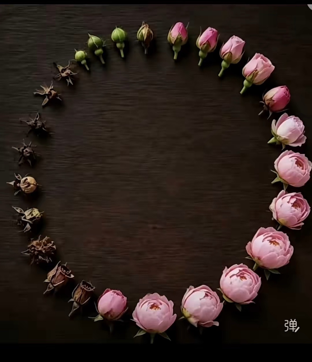 物，是宇宙万物理，是万物的运行规律性，是事物的本质命，是事物的作用