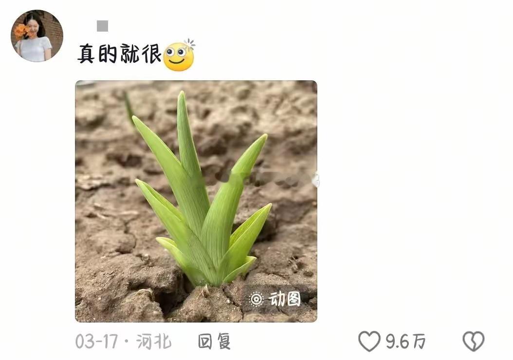 长得太标准是什么样的？​​​